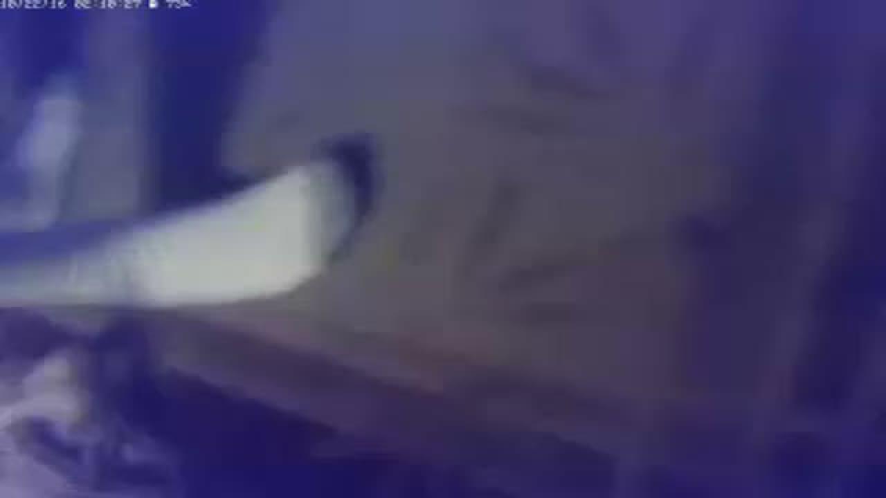 elcajonsub nude [2016/10/22 11:10:53]