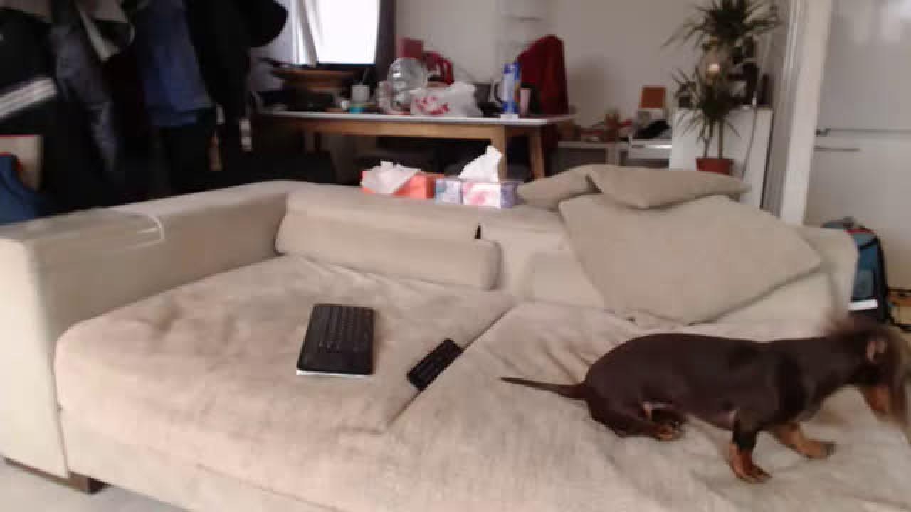 lukaedur porno [2017/02/20 06:15:15]