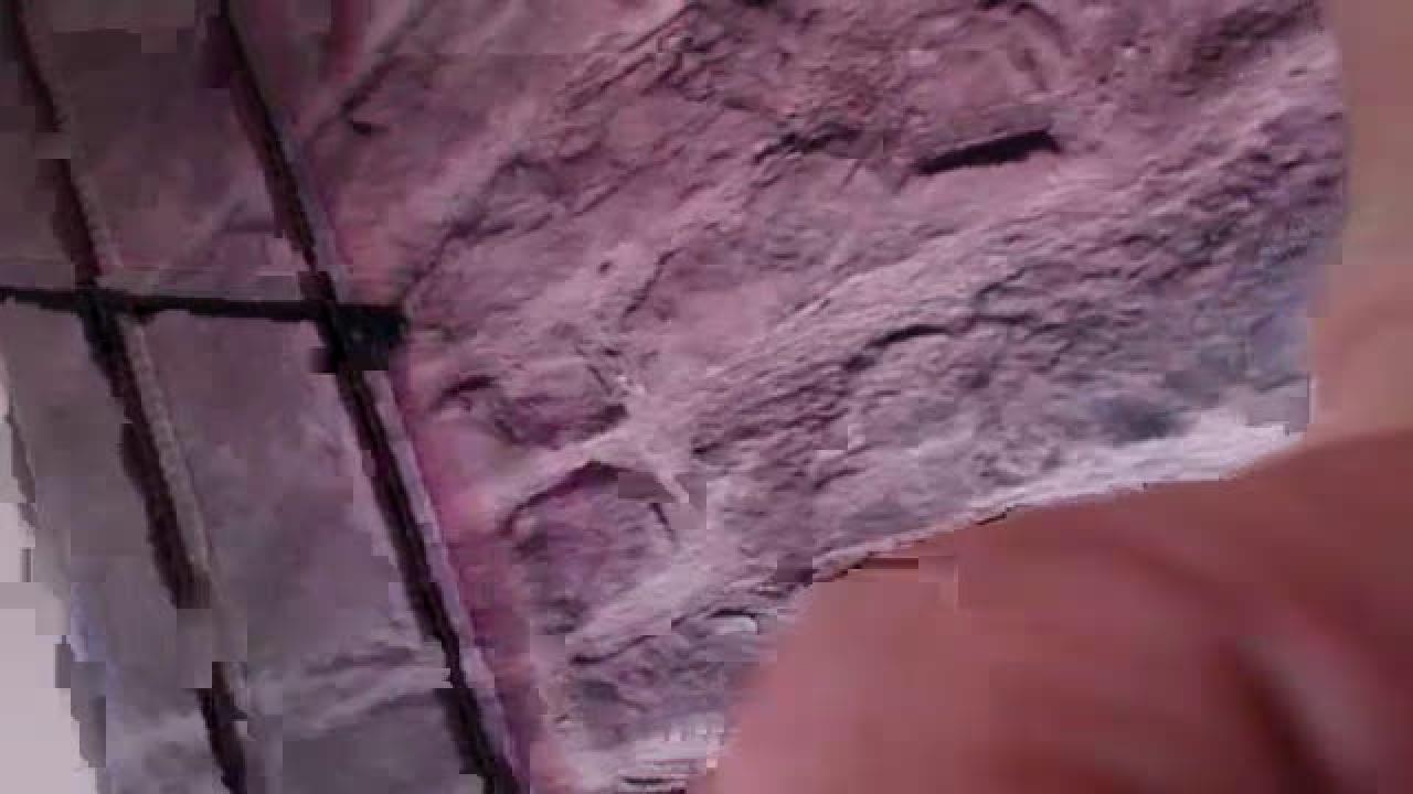 noahfox_ xxx [2017/02/26 14:45:31]
