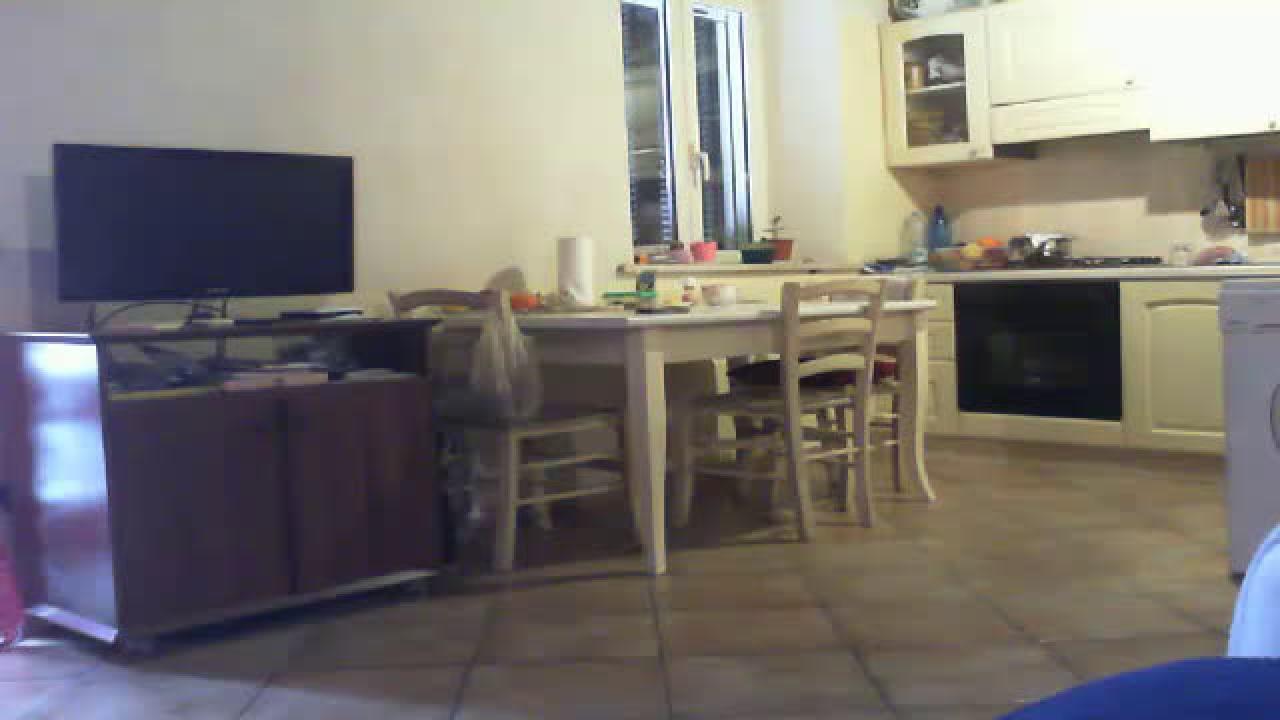 ozn007 webcam [2017/02/23 11:15:41]