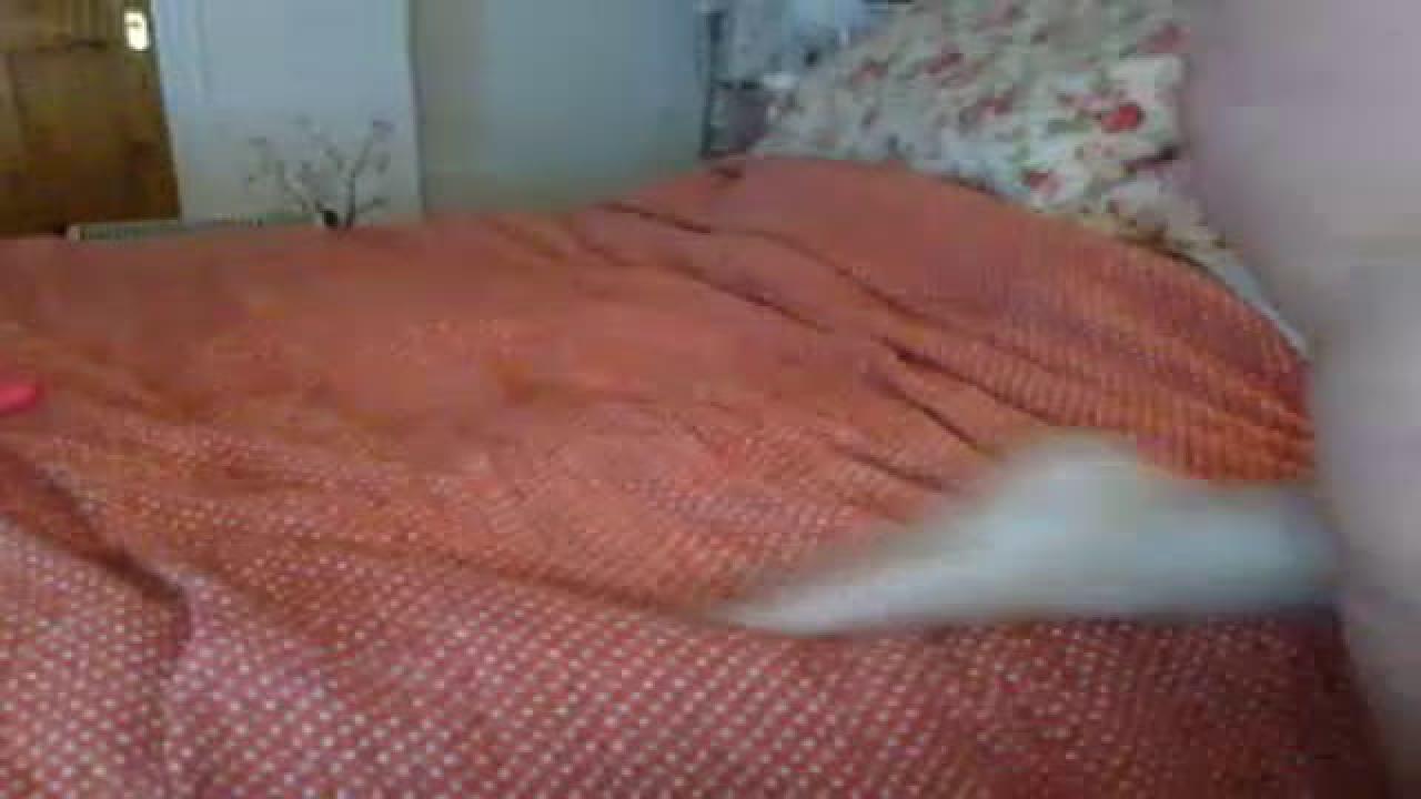 redspider1540 video [2016/12/29 02:00:15]