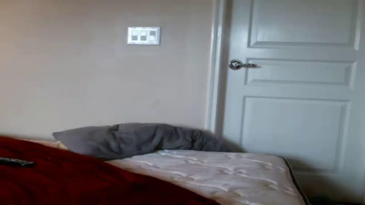 bigbootycheecks cam [2016/11/03 21:25:46]
