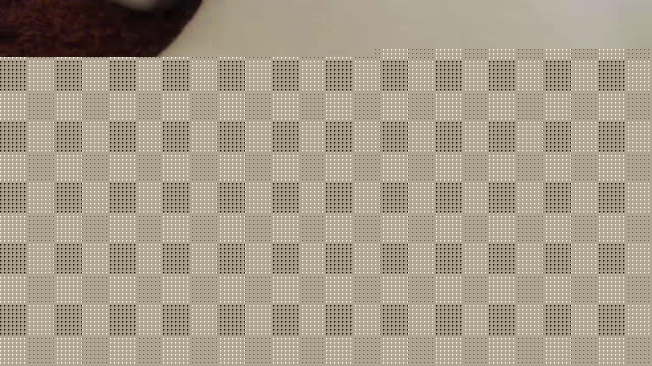 coltonjamesxxx video [2016/12/31 07:10:40]