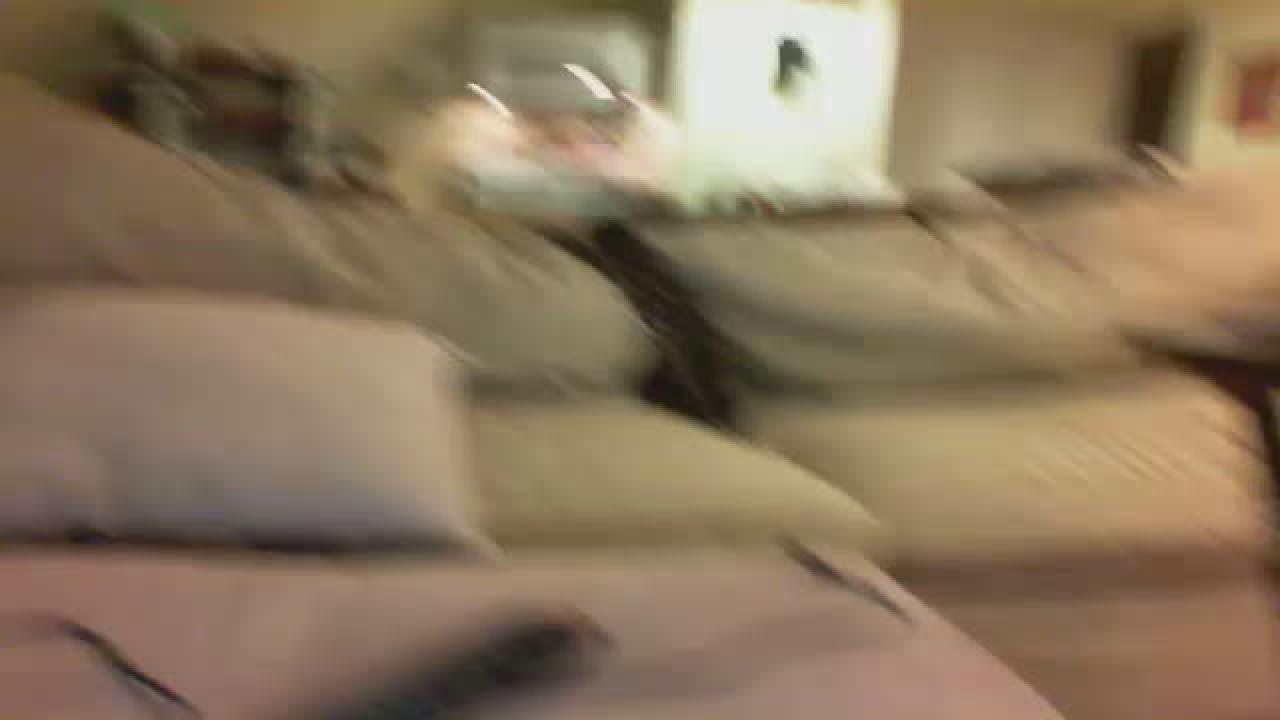 el3ctraa xxx [2016/12/29 03:50:15]