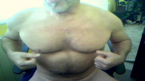 lobo_bil