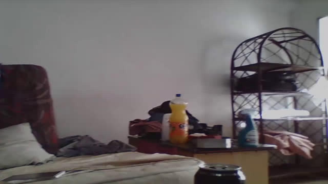 lollipoptroya adult [2017/01/14 12:50:28]