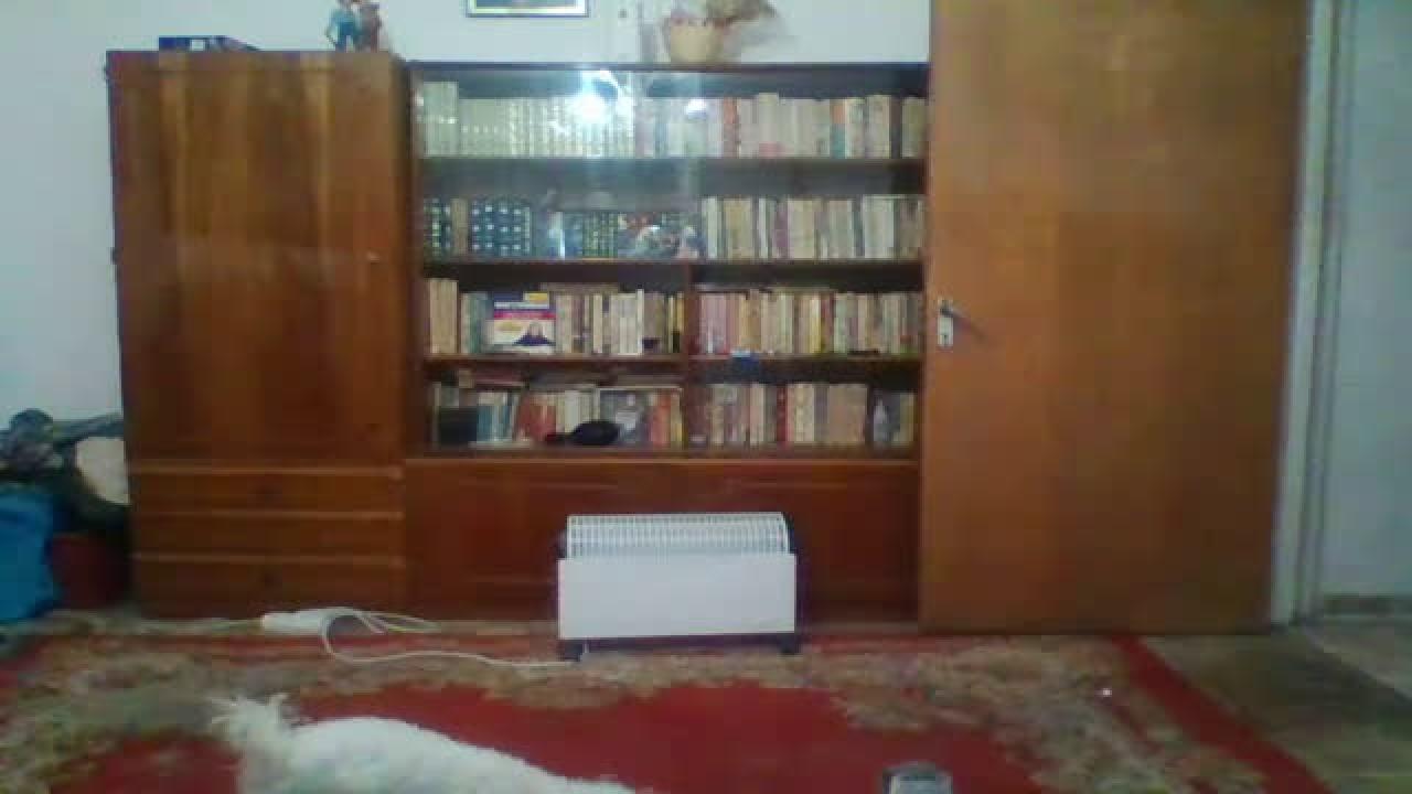 eminemloveyou adult [2017/01/07 19:30:14]
