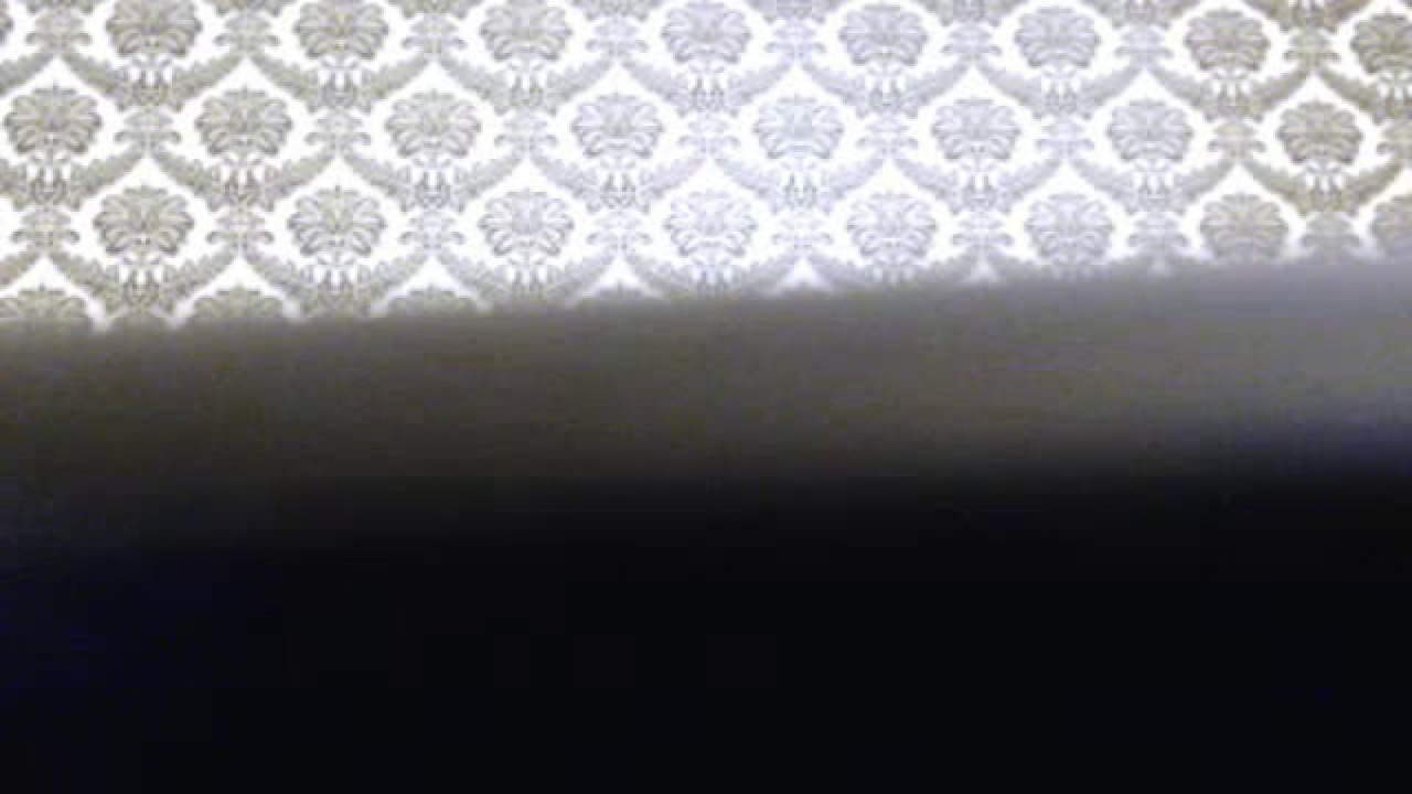 slenderswan Group Video [2017/09/24 06:07:53]