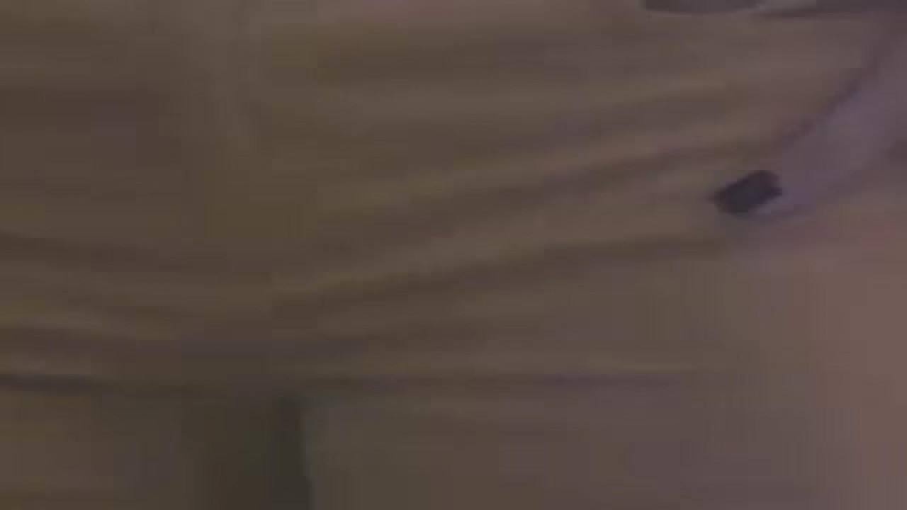 greensaphire True [2017/10/16 05:44:21]