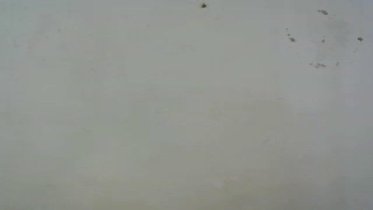chocolatdropx Squirt Webcam [2017/10/20 05:00:12]