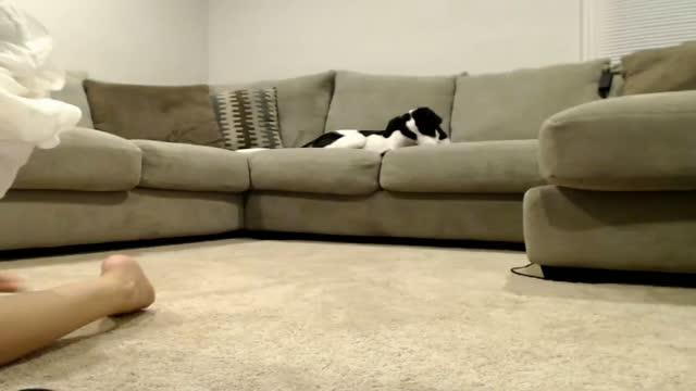 sophieandkaiden xxx [2015/07/16 03:00:32]