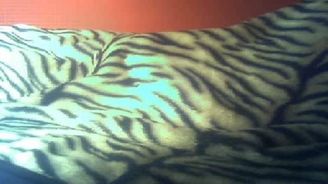 konkwistaxx nude [2016/02/27 04:00:53]