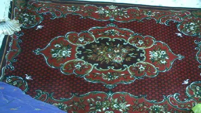 savodnoi show [2015/11/26 11:30:28]