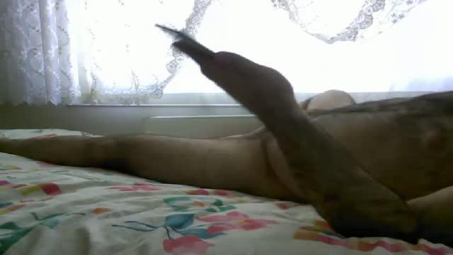 murser335 porno [2017/01/23 12:22:26]