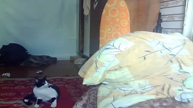 borodat naked [2017/02/02 22:55:28]