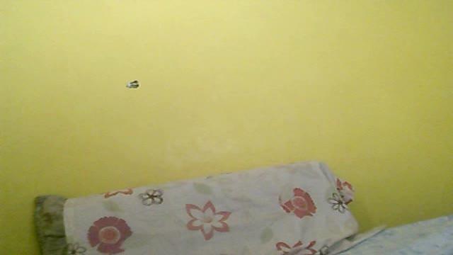 hotsexycyrene porno [2017/01/20 00:09:07]