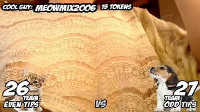 whorenickels porno [2017/01/29 23:15:53]