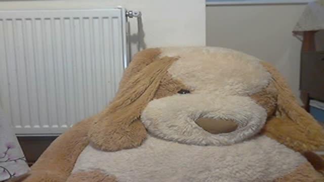 georgy4you