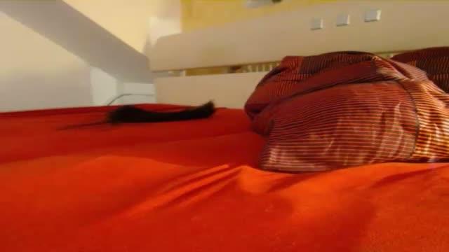 stiefelschweine adult [2017/01/19 22:58:29]