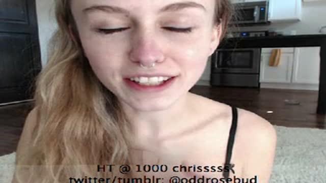 oddrosebud video [2017/01/19 14:45:53]