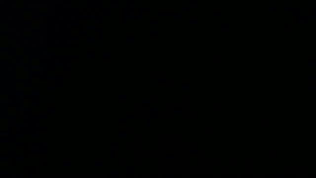 tosmic adult [2015/11/06 08:45:53]