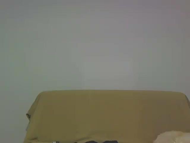 laurabanks cam [2015/12/29 12:51:07]