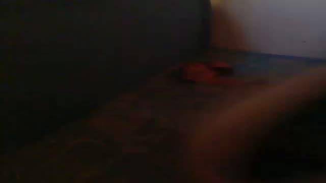 modliszkaaa21a sex [2015/06/06 18:01:12]