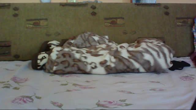 andreealive download [2016/10/20 11:17:56]