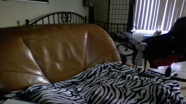 shybaby_bbw sex [2017/01/21 02:00:49]