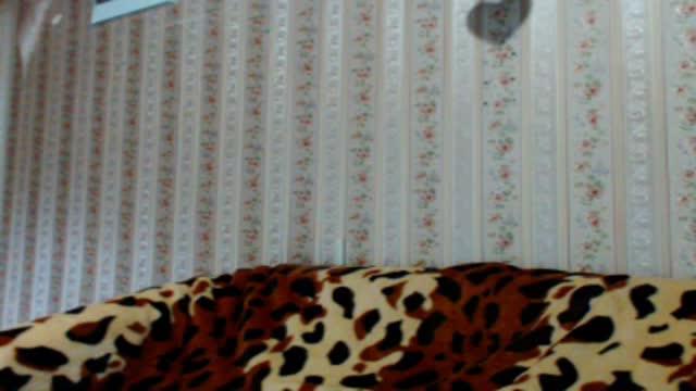ariaaa xxx [2017/01/20 08:45:53]