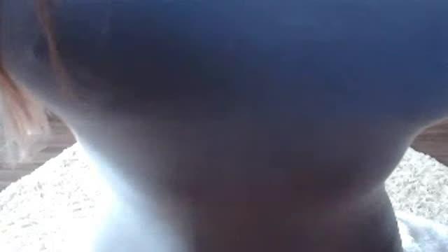 agony_ly webcam [2017/01/24 07:05:46]
