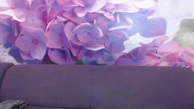 salma_hot adult [2016/10/24 00:45:27]