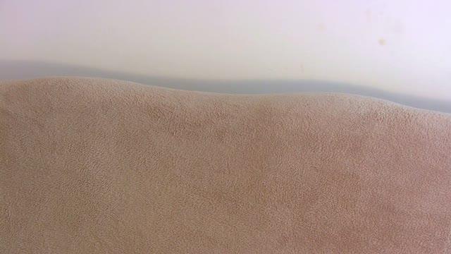 chicbaby4u webcam [2017/01/24 08:53:09]
