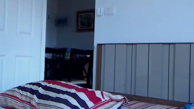 gessistar [2016/04/13 10:32:27]