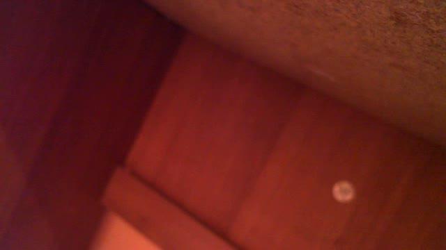 wildtitsxx