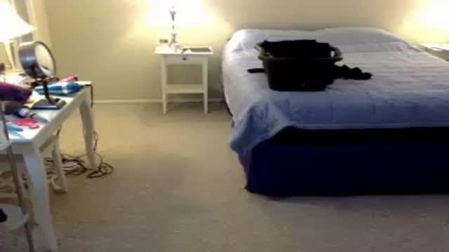 lisainny3 download [2017/01/25 18:02:45]
