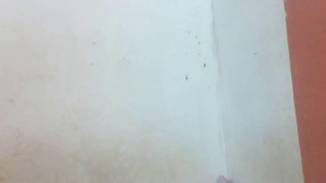 innocenthornypussy show [2017/01/24 01:53:51]