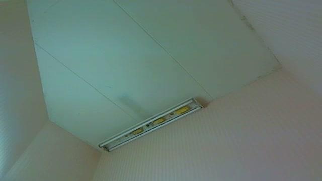 evelinka naked [2015/07/25 08:31:47]