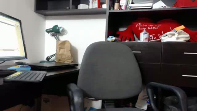 justalinusha recorded [2017/01/29 17:13:51]