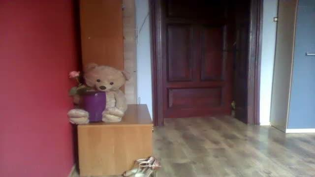 goodreturns cam [2017/01/21 10:01:08]