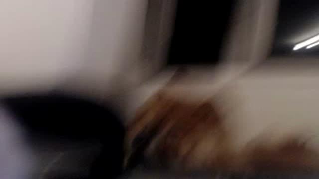 agathaboo xxx [2017/01/23 19:20:44]