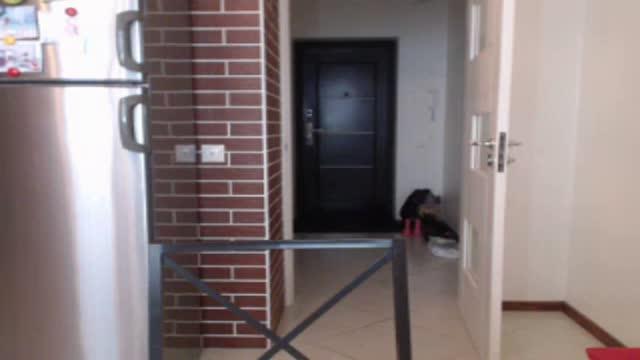 dragon_girl webcam [2017/01/29 04:15:53]