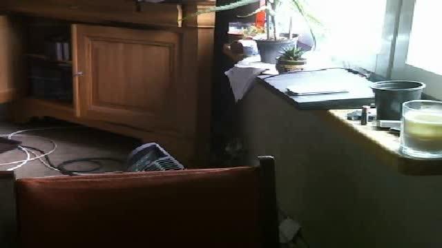 all1 webcam [2017/01/21 06:00:57]
