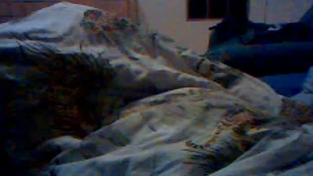 sandratranskatv1 recorded [2017/02/02 03:00:27]