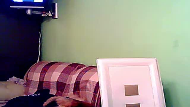 shugar_baby1