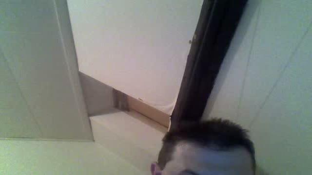 korolpozor xxx [2017/01/25 04:15:41]