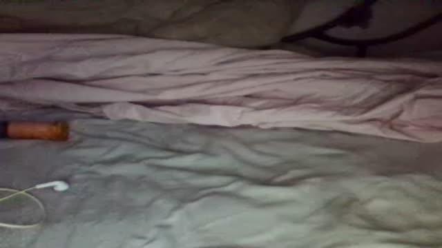 pupetteblack webcam [2015/11/18 17:31:52]