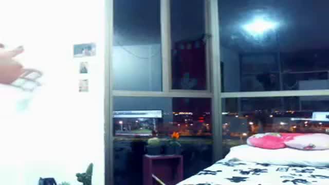 meowmeow657 show [2017/01/31 01:02:46]
