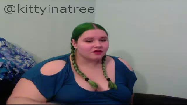 kittyinatree