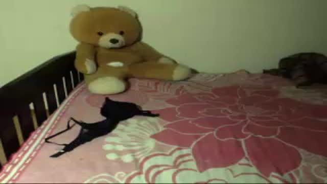 adelina_jonisss cam [2016/11/21 00:20:31]